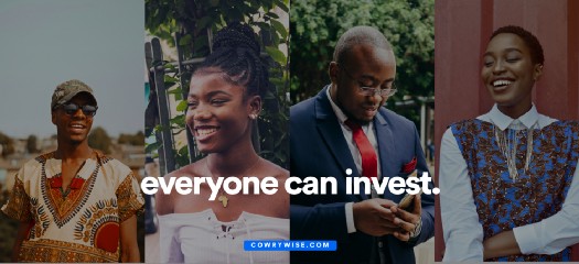 cowrywise-everyone-invest