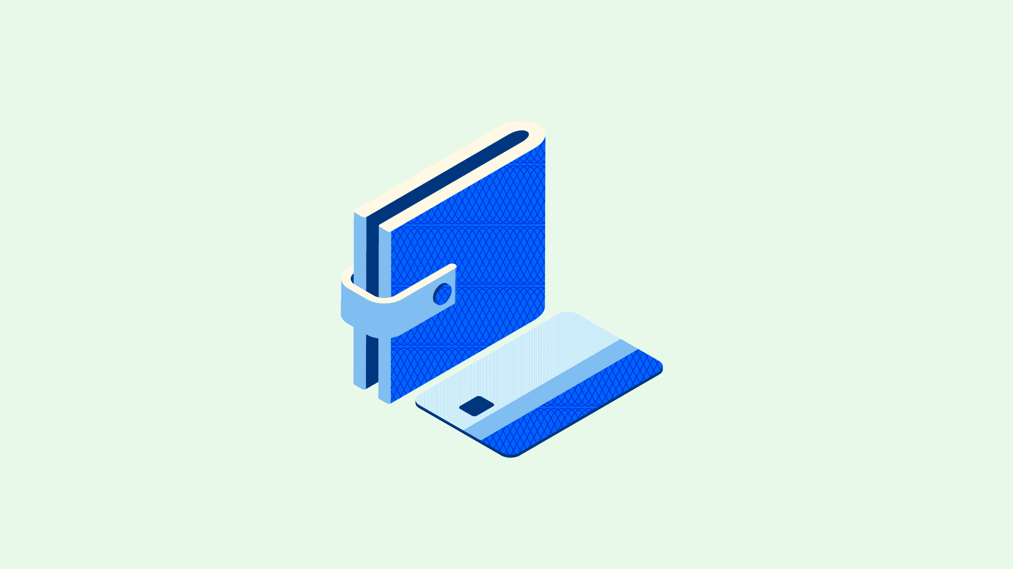 wallet and credit card illustration