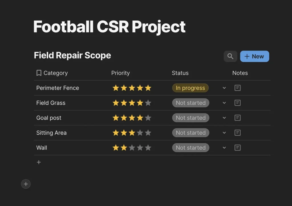 Scope of Work for Cowrywise Football Field