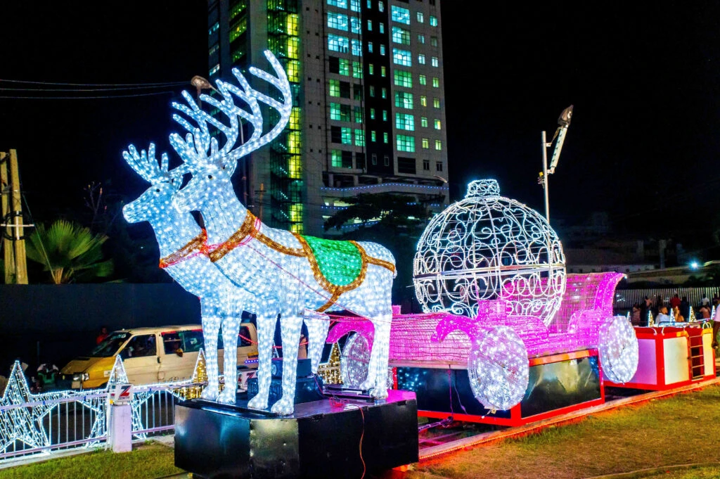 Spotlight 2: The Light Attraction (Ajose Adeogun)