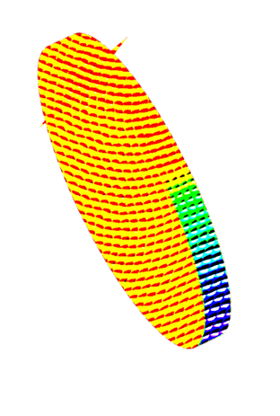 Coin illustration