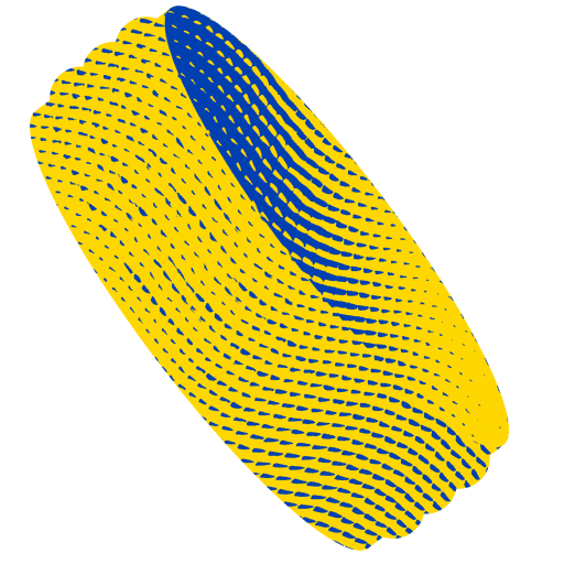 Coin illustration