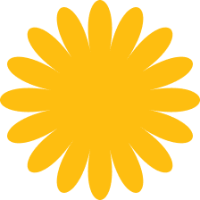 Sunflower illustration