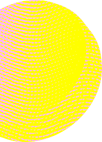 yellow-coin